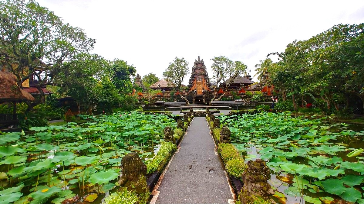 Lotus pond at Pura Taman Saraswati Temple with blooming flowers