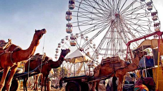 Pushkar fairground crowd and cultural activity