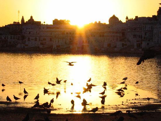 Sunset over Pushkar Lake