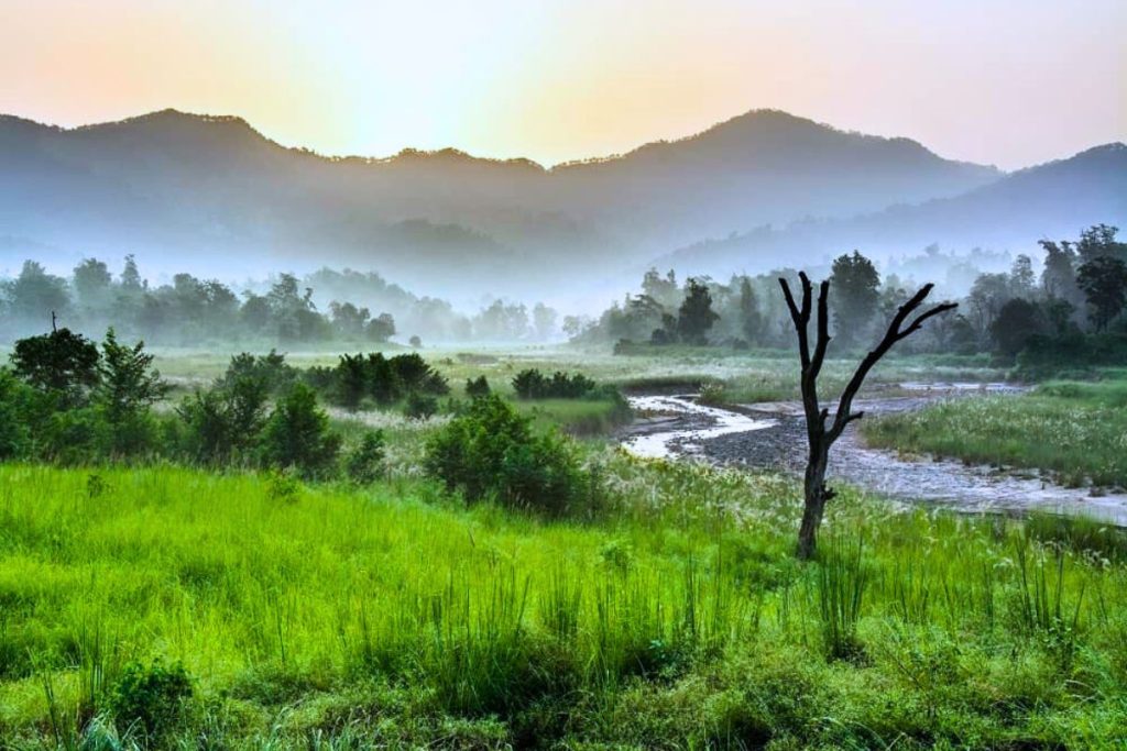 Rajaji National Park landscape with forests and hills
