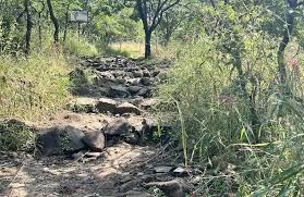 Forest trails winding through Ralamandal Wildlife Sanctuary