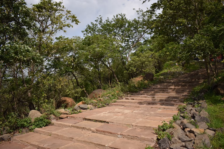 Trekking trail through Ralamandal forests