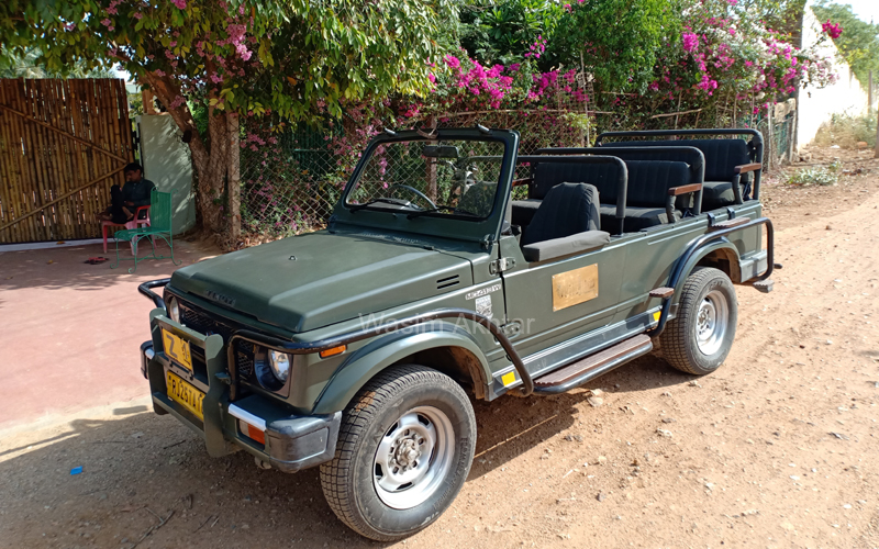 Jeep safari through Ranthambore forests