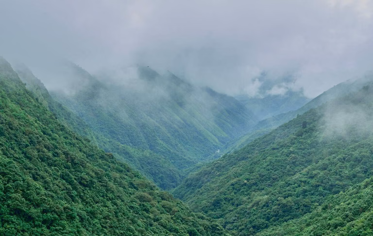 Lush greenery around Rapleng Canyon after monsoon
