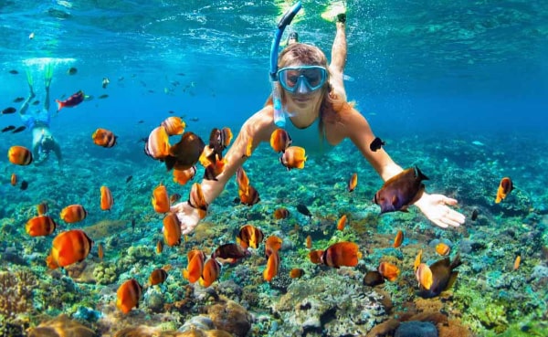 Snorkeling at Red Skin Island reef
