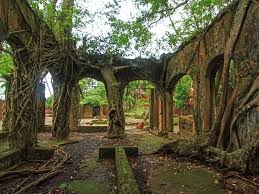 Colonial-era ruins covered with roots on Ross Island