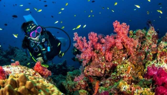 Snorkeling activity in clear Andaman waters near Rutland Island
