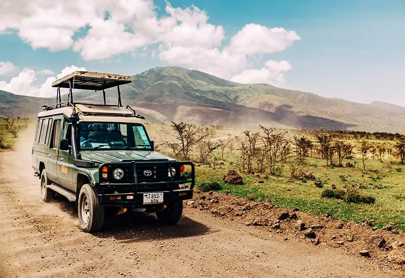 Jeep safari tour at Sajjangarh Biological Park