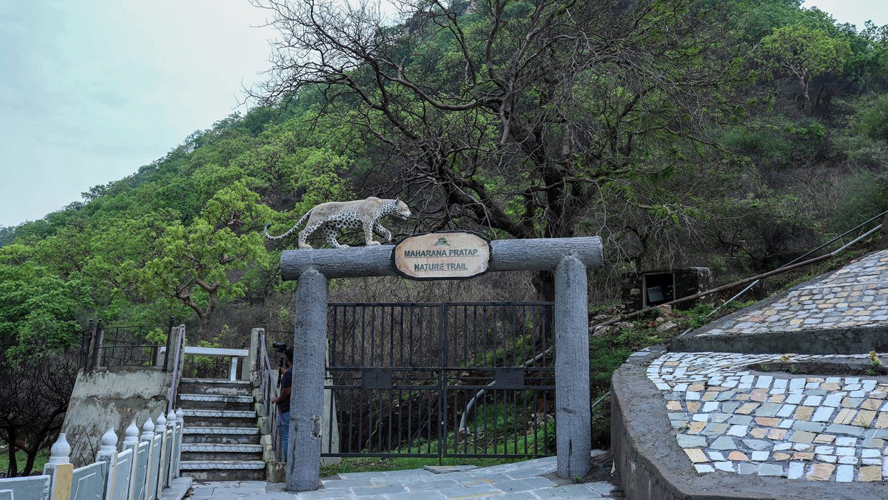 Winter morning view of Sajjangarh Biological Park