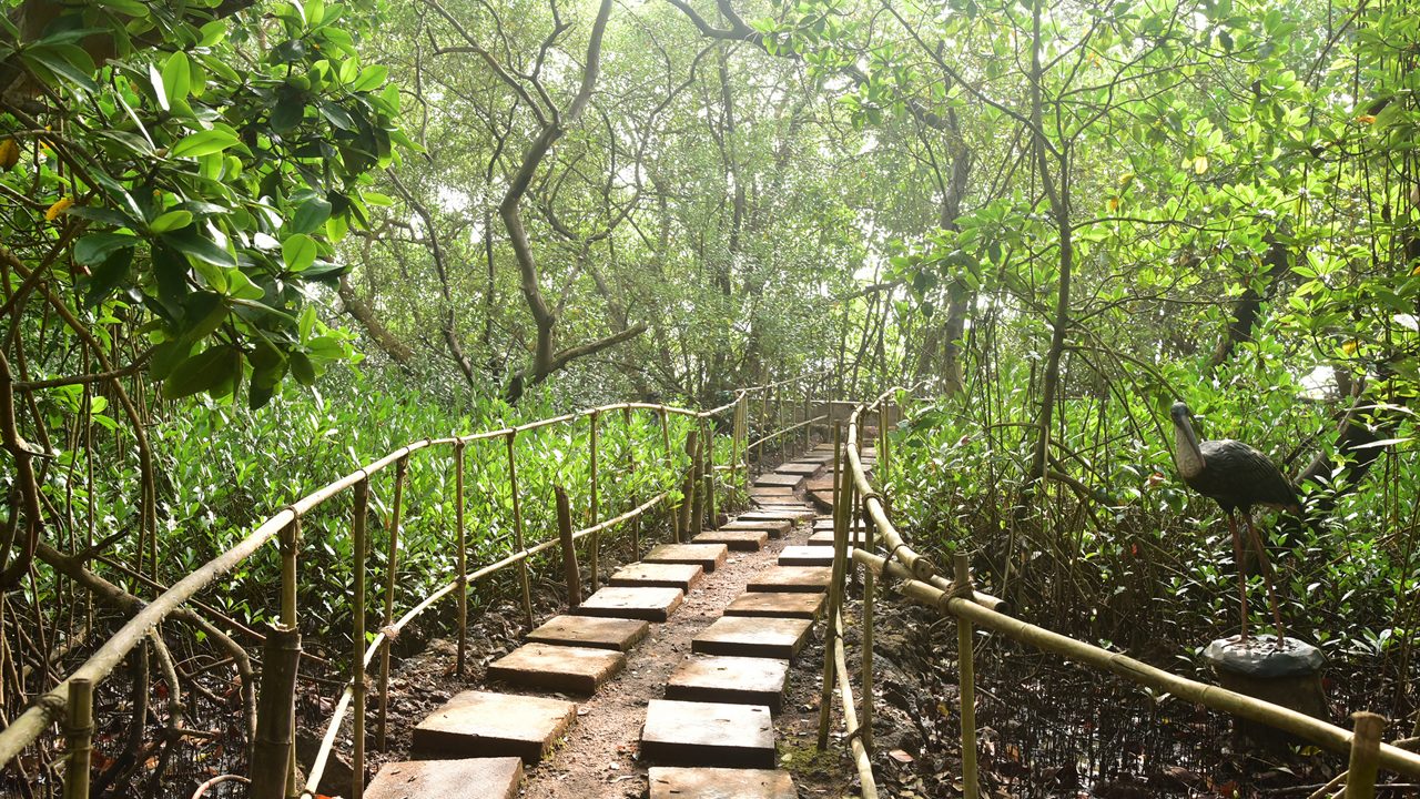 Birdwatching trail in Salim Ali National Park