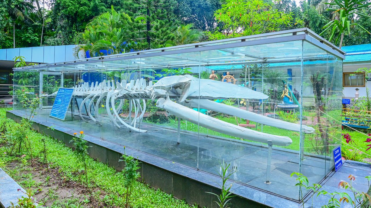 Exhibit section inside Samudrika Marine Museum in Port Blair
