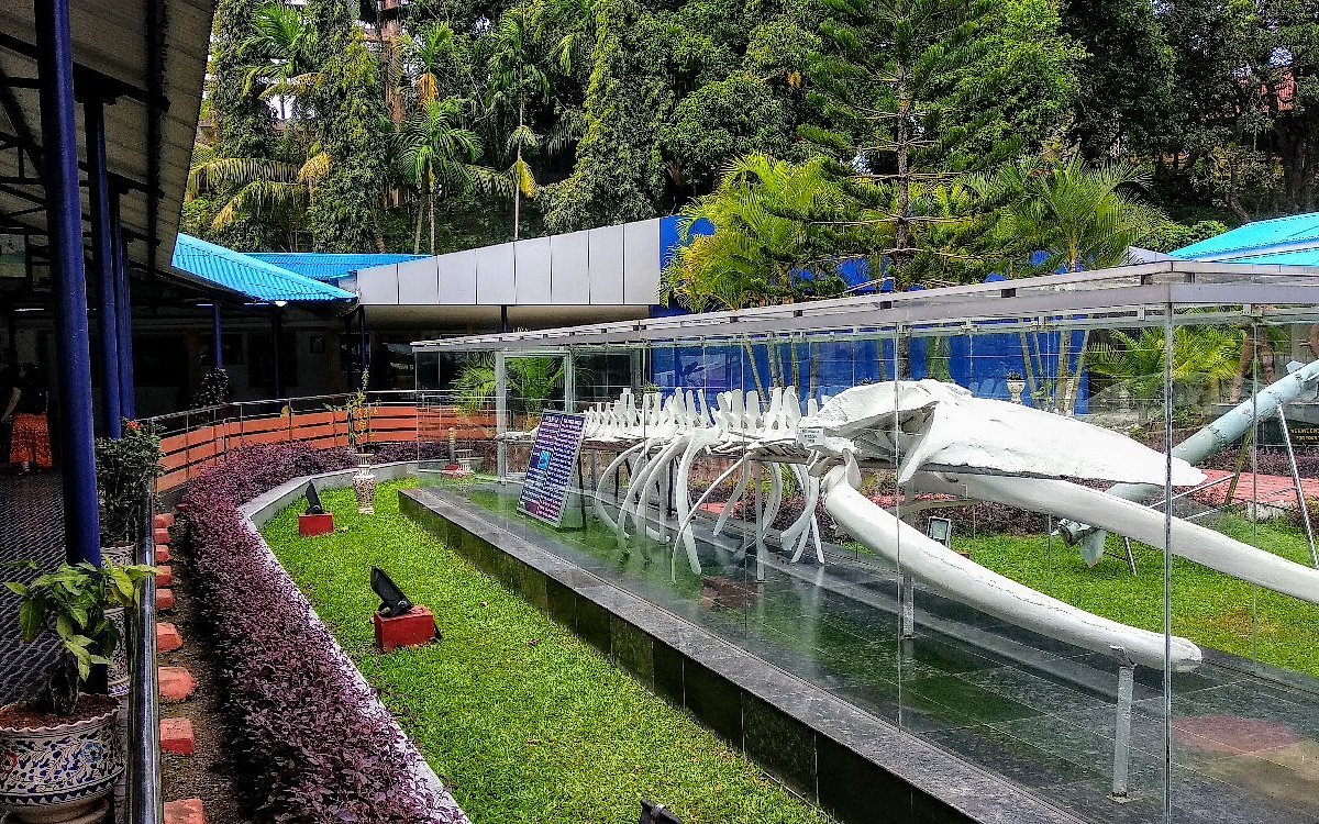 Gallery section and educational displays at Samudrika Marine Museum