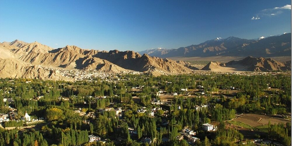 Sankoo village Ladakh apricot orchards