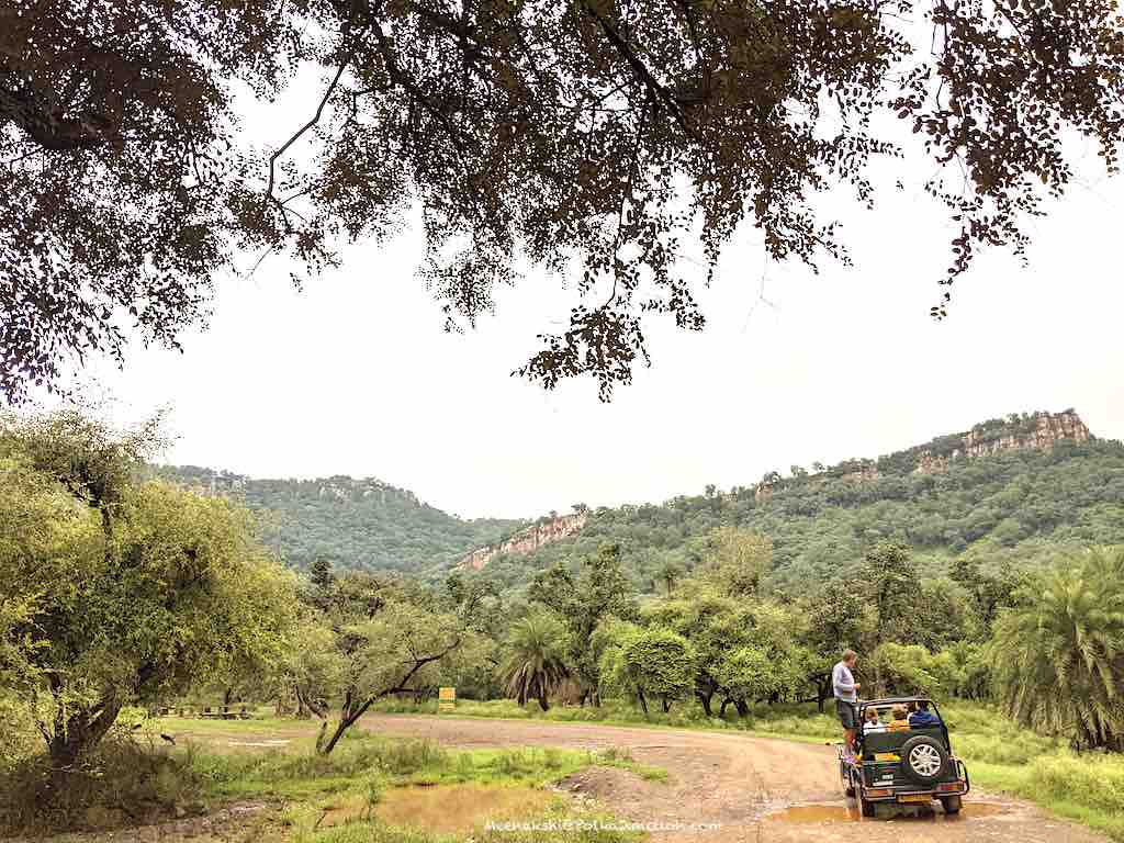 Sariska landscape