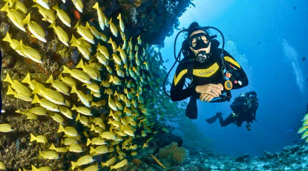 Goa scuba diving day itinerary with nearby activity planning