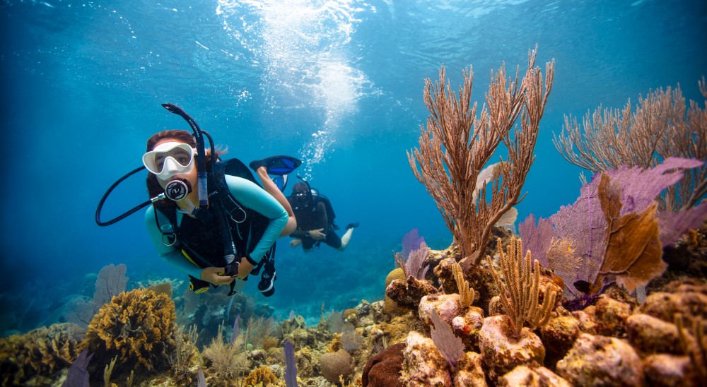 Underwater diving experience