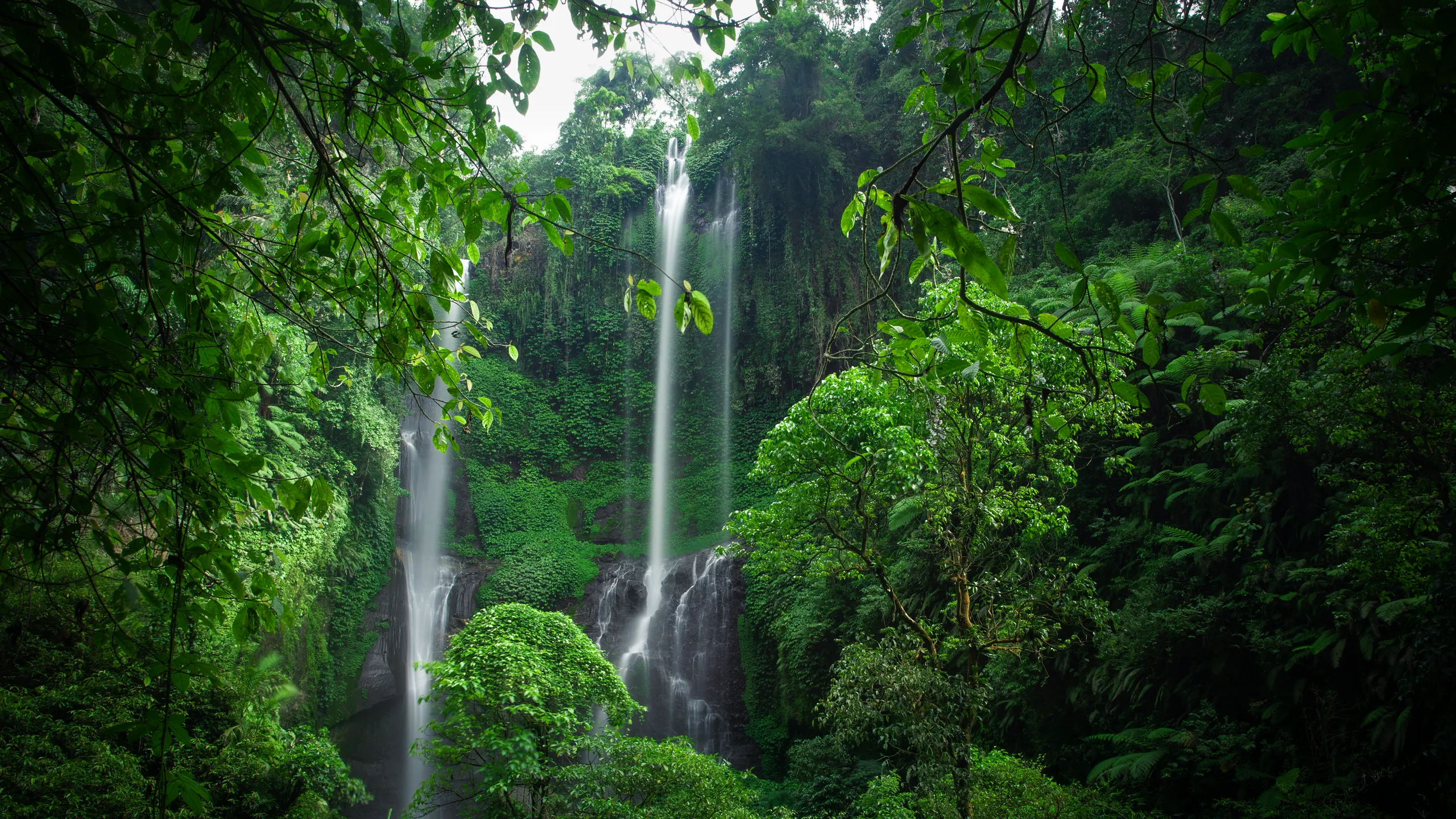 Sekumpul Waterfall Bali: Trek Guide & Tips