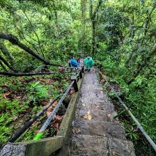 Trekking trail leading to Sekumpul Waterfall