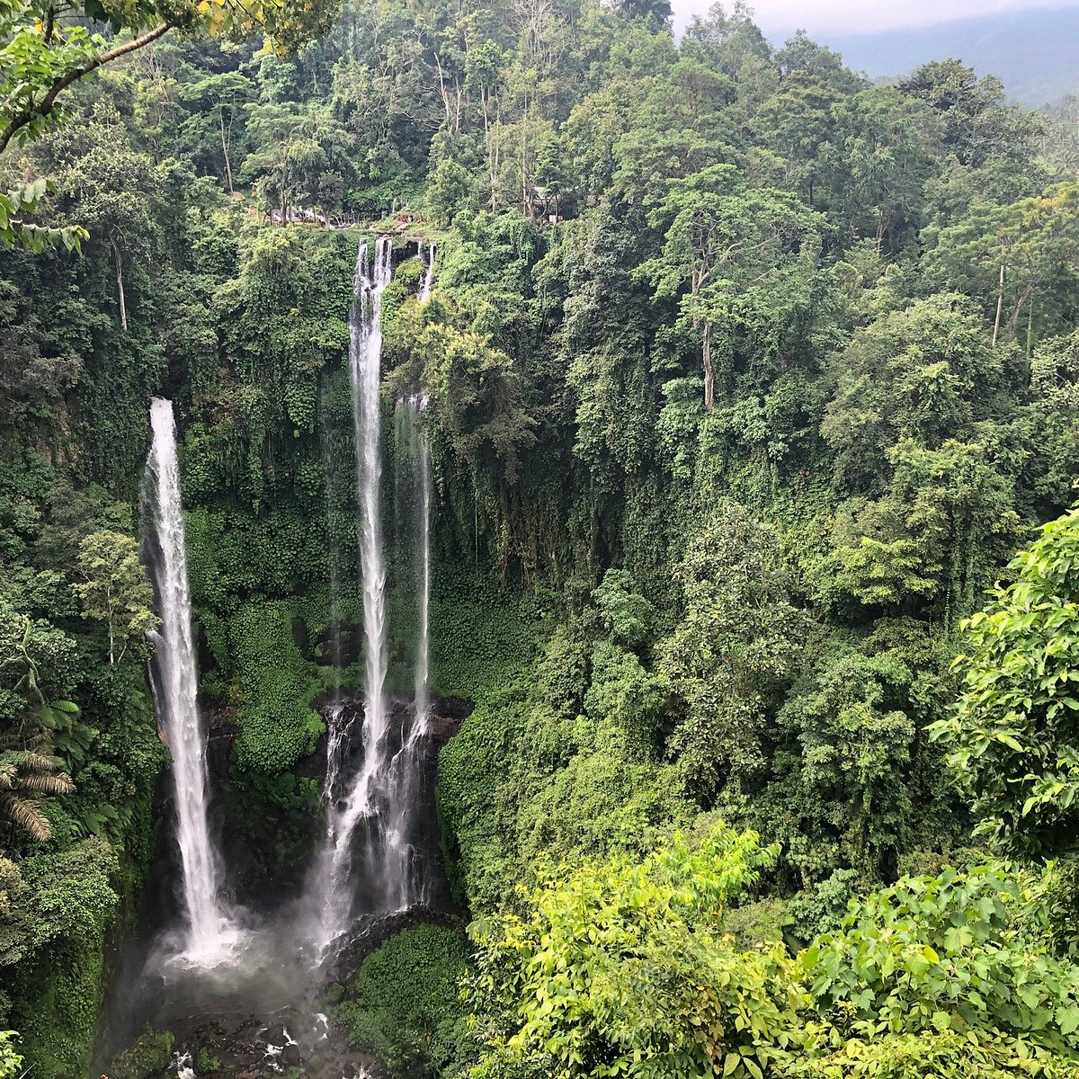Viewpoint overlooking Sekumpul Waterfall valley