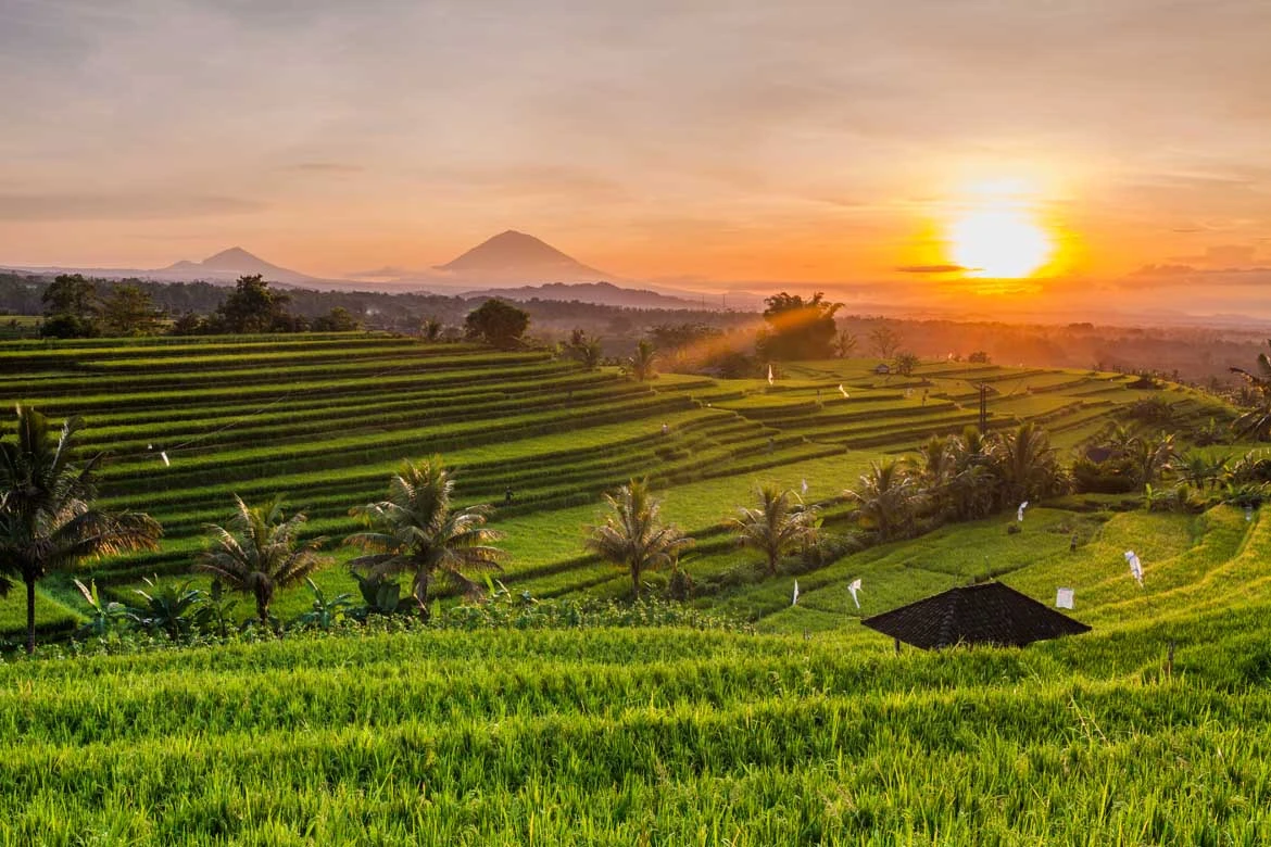 Seminyak Village Bali: Shopping, Dining & Nearby Beach Access