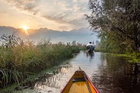 Early morning shikara ride with soft sunrise light