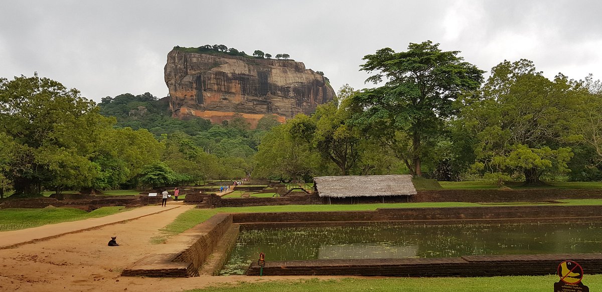 Sigiriya Rock Fortress rising above central Sri Lankan plains
