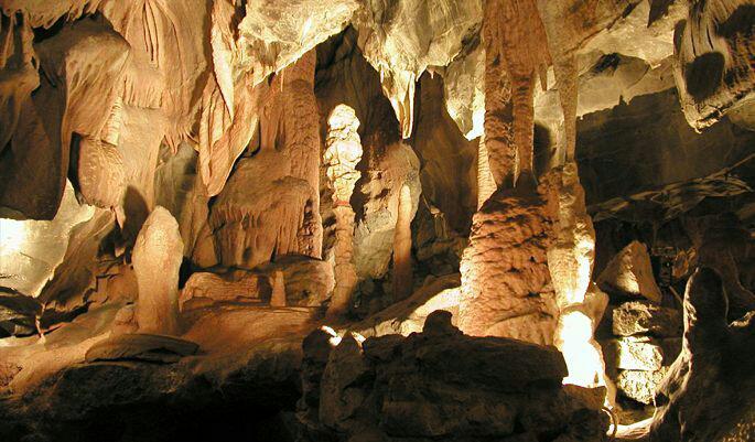 Bat colony inside Siju Caves Meghalaya