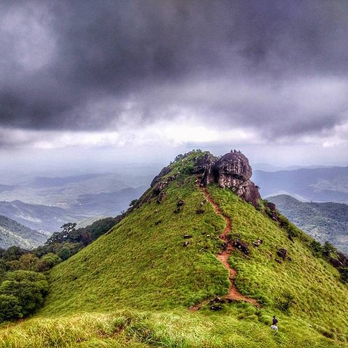 Trekking route through Silent Valley forest