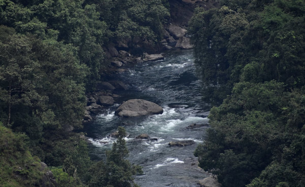 Kunthipuzha River flowing through Silent Valley rainforest