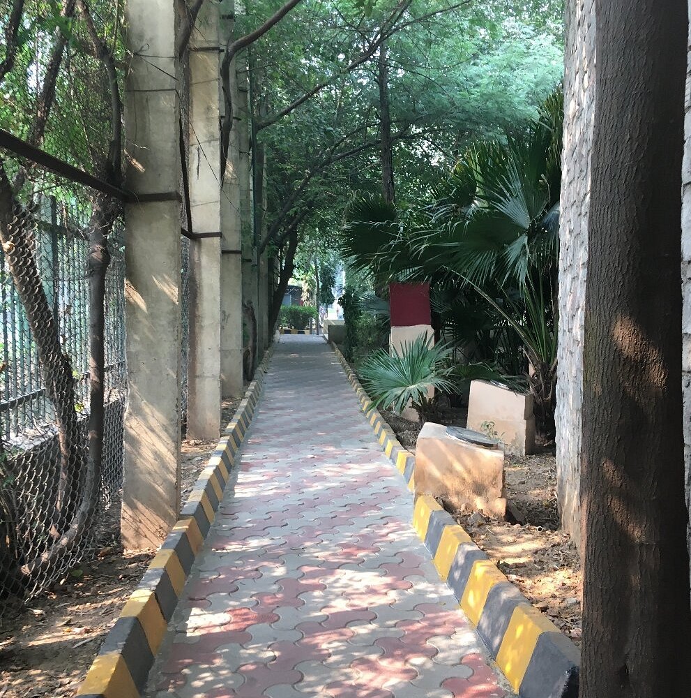 Entry path area near Siri Fort Delhi