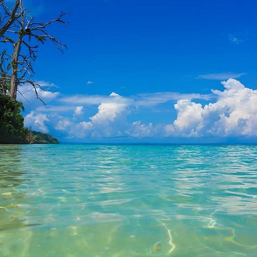 Beautiful beach for snorkeling in Andaman