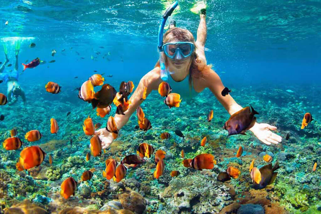 Snorkeler exploring coral reefs in Andaman