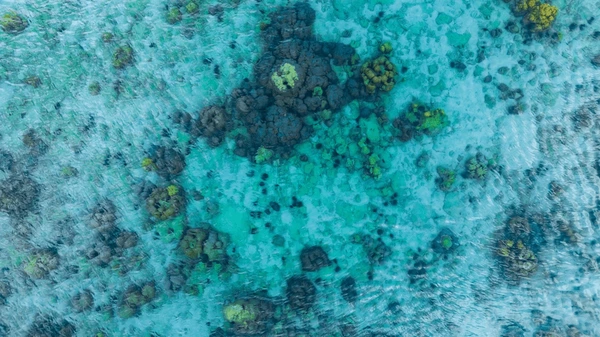 Clear water snorkeling reef view in Goa