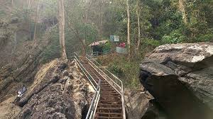 Trekking path to Soochipara Waterfalls through lush forest