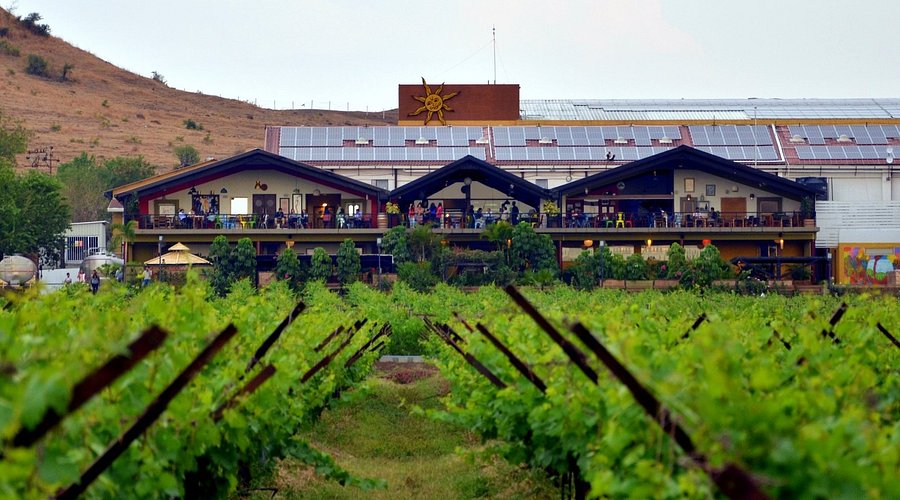 Aerial view of Sula Vineyards festival grounds in Nashik