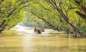 Boat safari through mangrove waterways in Sundarbans