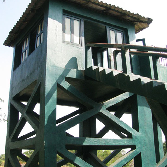 Wildlife observation from watchtower in Sundarbans