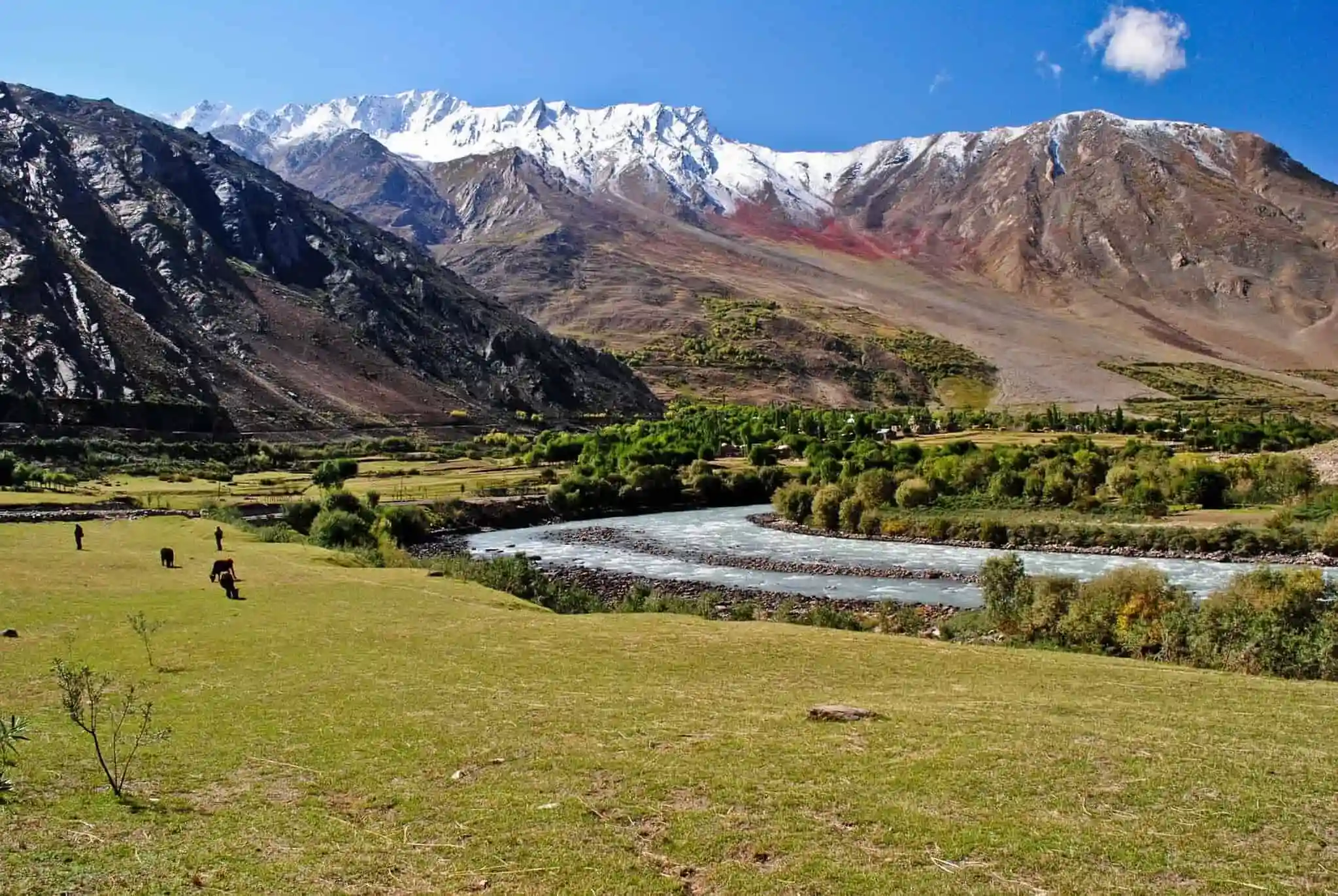 Suru Valley in summer with green fields