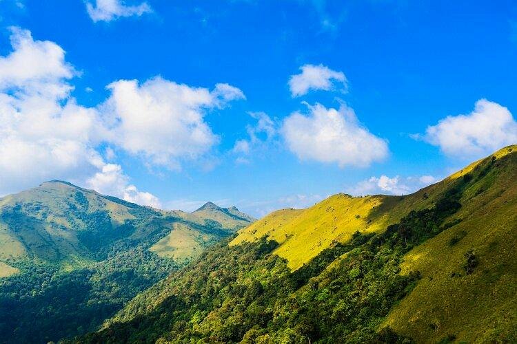 Forest light on descent from Tadiandamol Coorg
