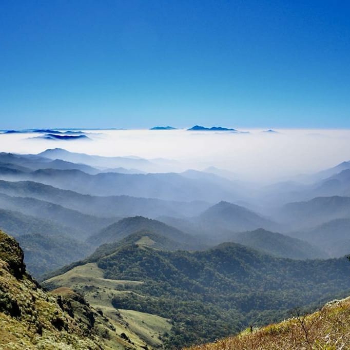 Misty descent path on Tadiandamol trek
