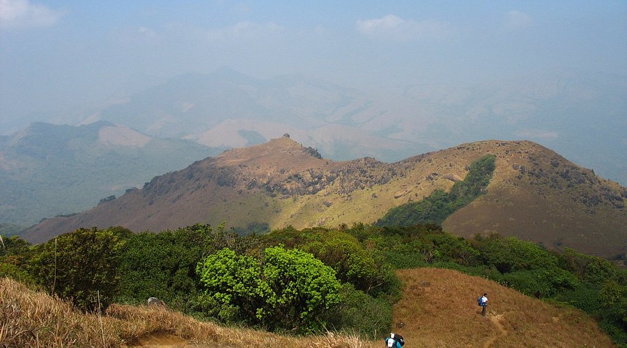 Open grassland ascent on Tadiandamol route