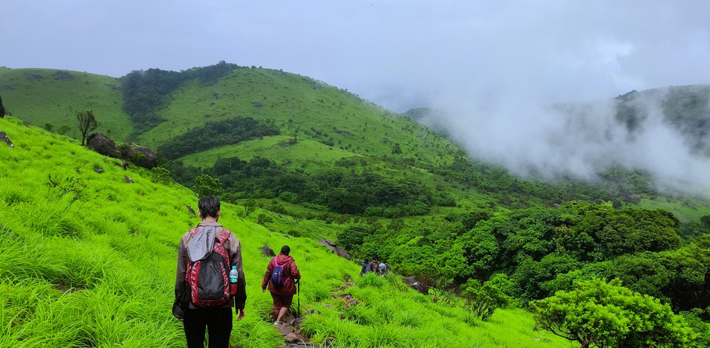 Forest trail section on Tadiandamol trek