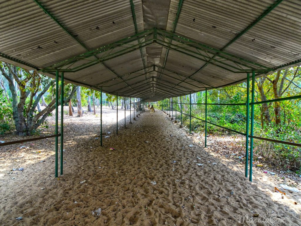 Sand-covered temple zone in Talakadu ancient town