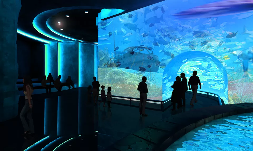 Aquarium tunnel at Taraporewala Aquarium