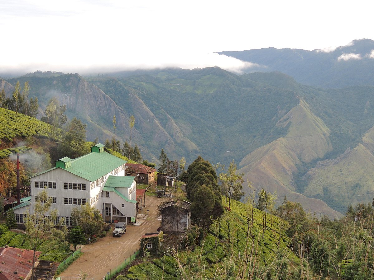 Kolukkumalai highest tea plantation