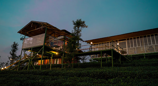 Luxury plantation resort in Munnar