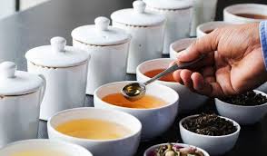 Tea tasting session in Munnar