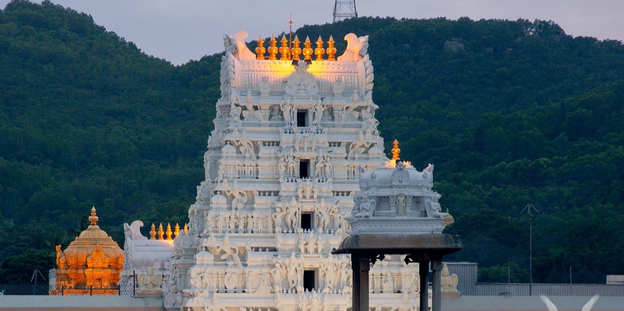 Tirumala Venkateswara Temple Tirupati golden vimana