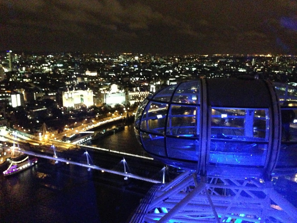 The London Eye illuminated at night on the Thames