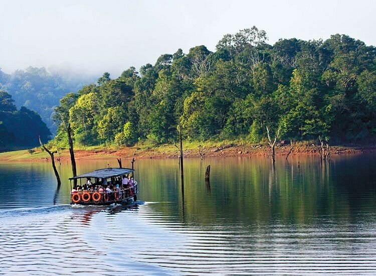 Boat safari on Periyar Lake in Thekkady